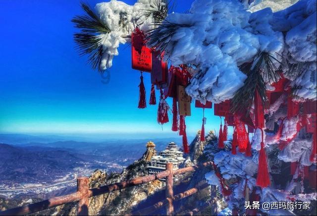 虫虫助手下载
